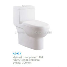 Foshan Sanitary Ware Public Toilet Design